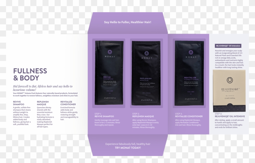 Samples - Flyer Clipart