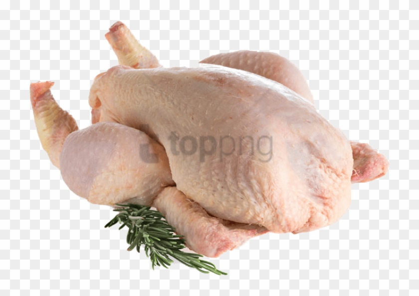 Free Png Chicken Meat Png Png Image With Transparent - Chicken Images Png Hd Clipart #4838489