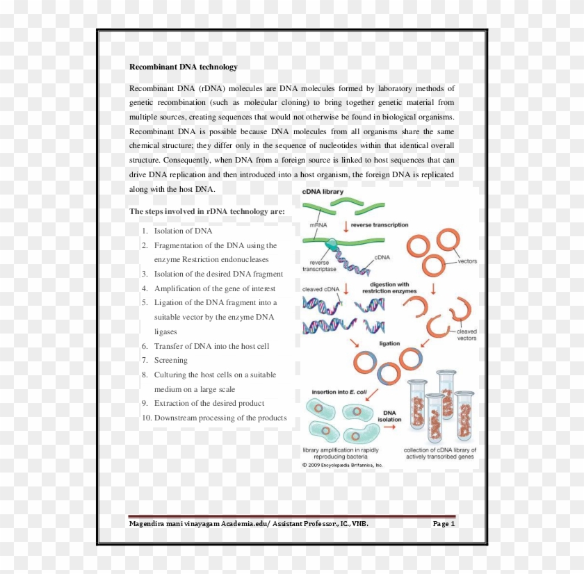 Pdf - Construction Of C Dna Library Clipart #4841079