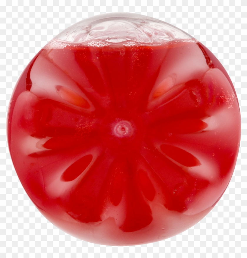 Circle Clipart #4841985