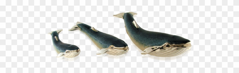 Saturno S/silver Blue Back Whale Trio - Earrings Clipart #4842068