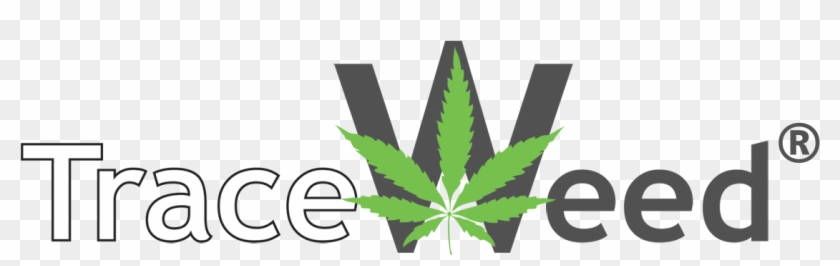 Dauntless Software, Inc - Illustration Clipart