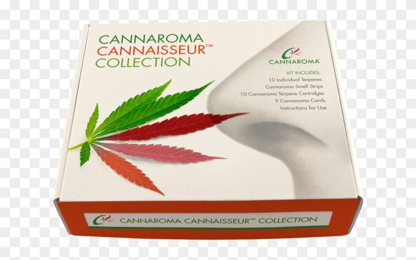 Box Clipart #4844582