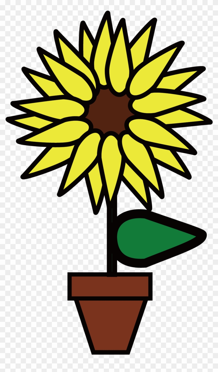 Common Sunflower, Flower, Drawing, Plant, Flora Png - Drawing Clipart