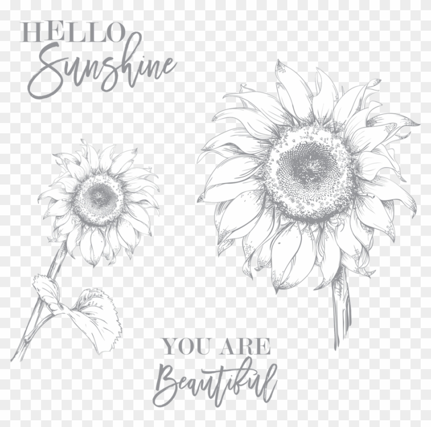 Shop - Sunflower Clipart