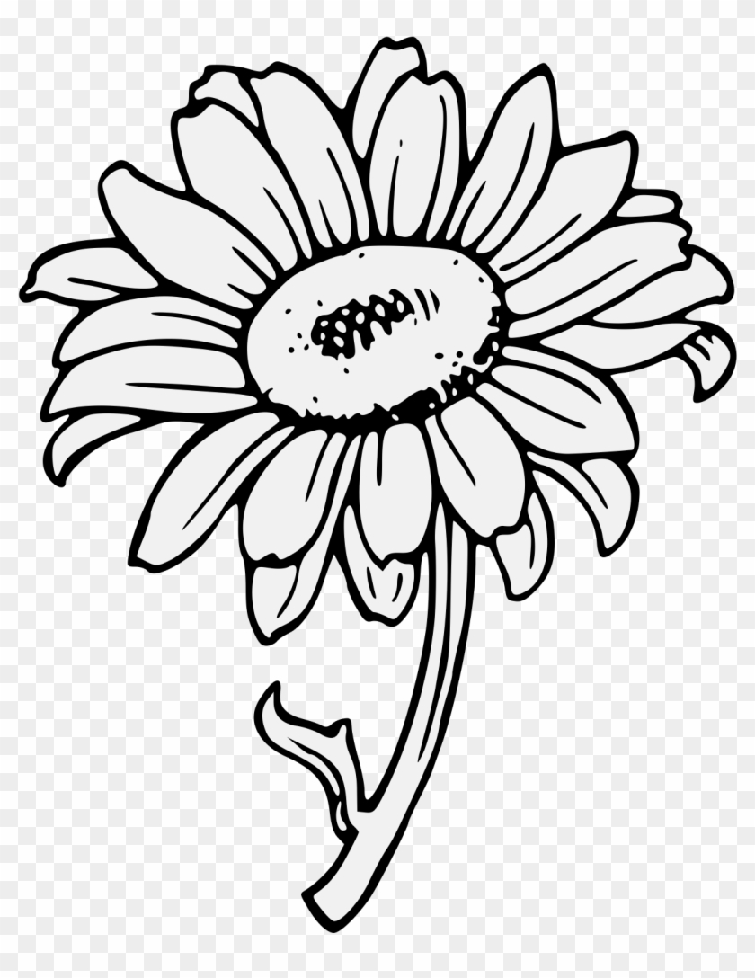 Details, Png - Sunflower Clipart Art Transparent Png #4846367