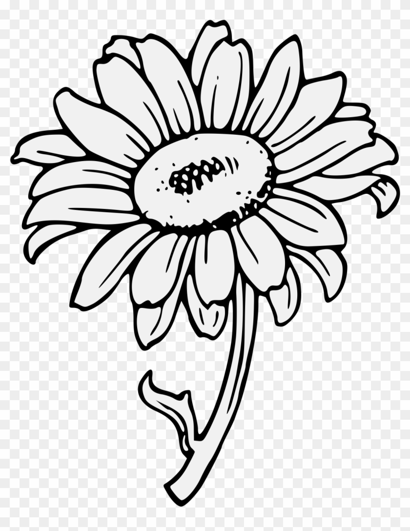 Details, Png - Sunflower Clipart Art Transparent Png