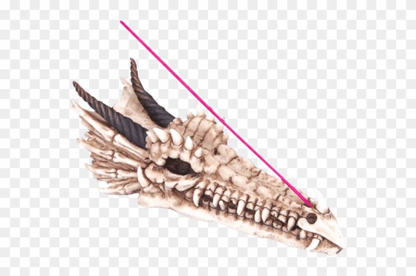 Price Match Policy - Dragon Skull Incense Holder Clipart