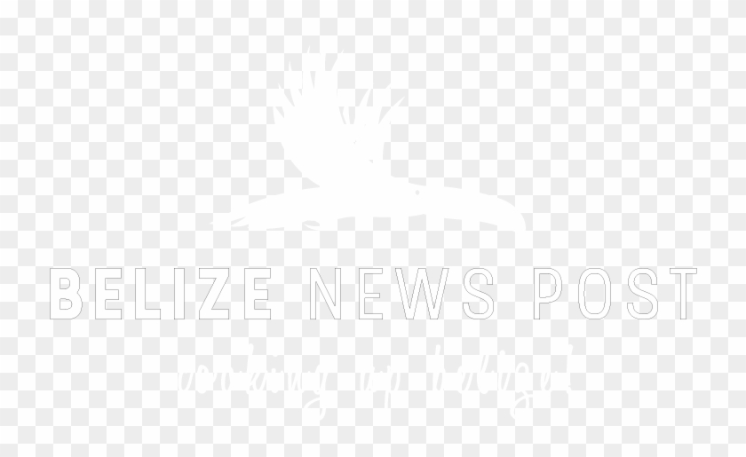- Belize News Post - Logo Sena Blanco Png Clipart #4848171