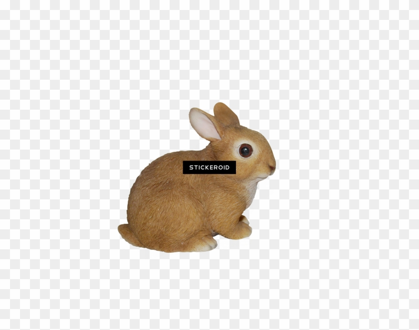 Bunny Rabbit Png - Domestic Rabbit Clipart #4848399
