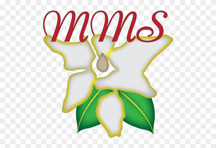 Logo Design By Chubby Bunny Graphic Design For Magnolia Clipart