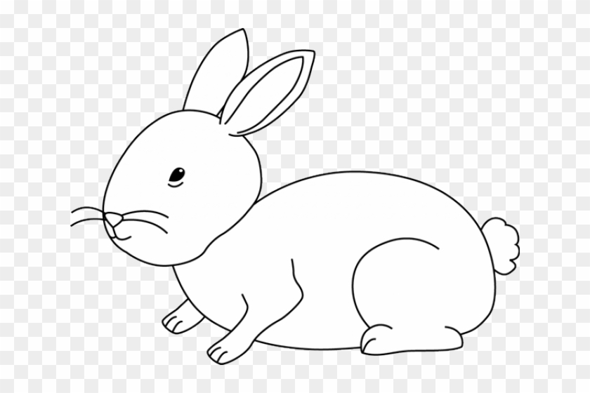 Bunny Rabbit Black And White Clipart - Png Download #4848778