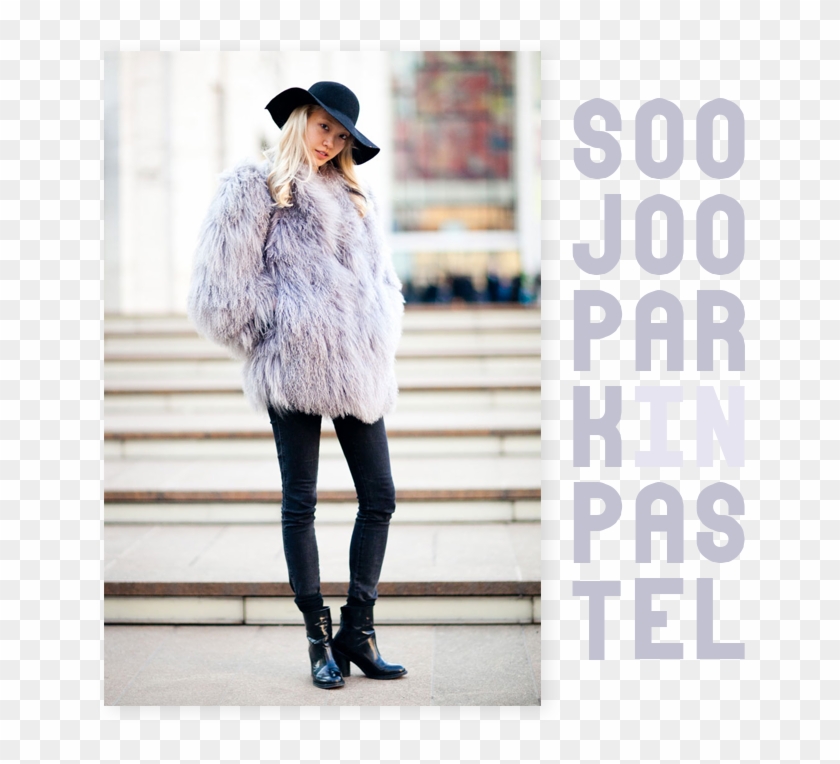 Pnvzfnm - Soo Joo Park Fur Clipart #4849406