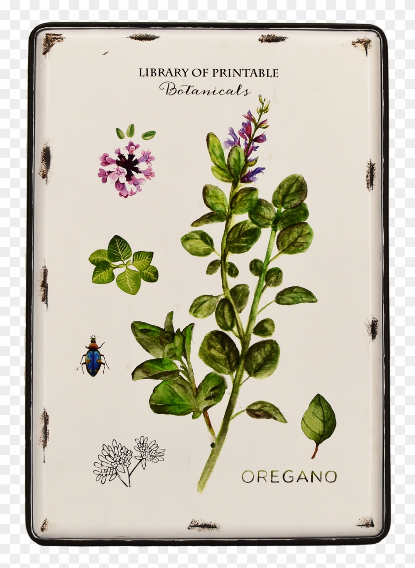 Image - Gadget Clipart