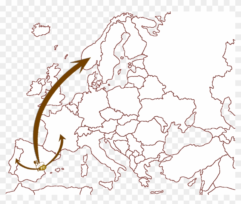 Algunos Ejemplos De Nuestra Experiencia - European Capitals City Clipart