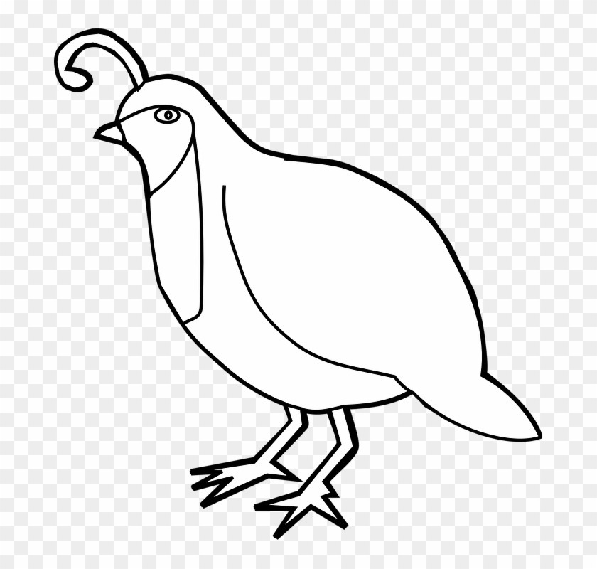 Dove Clipart Template - Clipart Black And White Quail Png Transparent Png #4851274