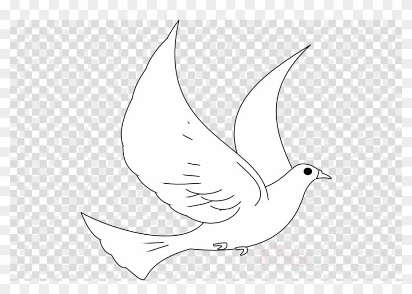 Bird, Turtle, Nose, Transparent Png Image Clipart Free - Round Gold Badge Png #4851292