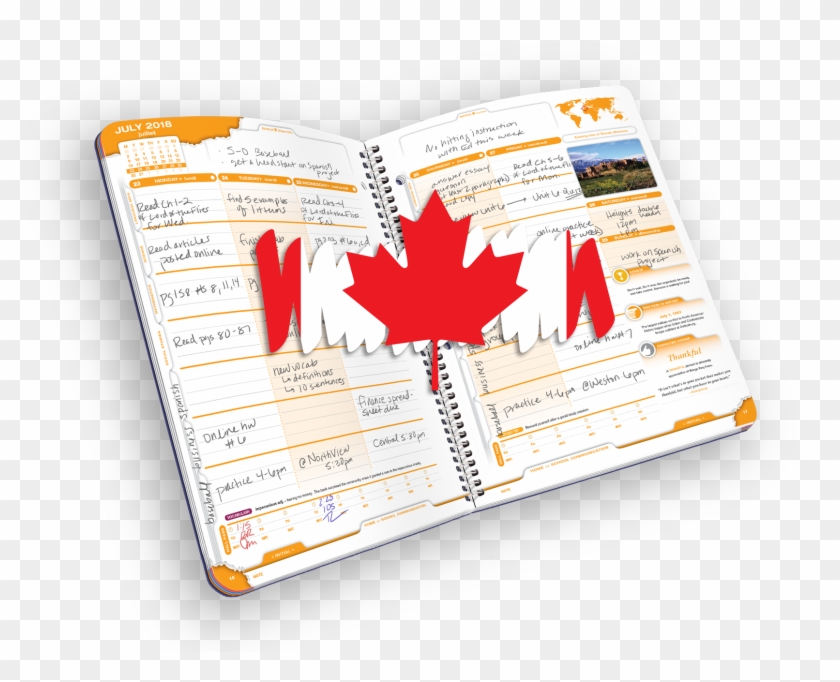 Beaver Canada 18-19 - Canada Flag Clipart #4851436