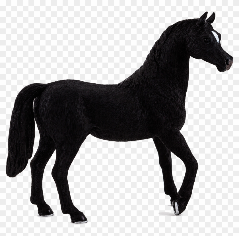 Black Arabian Horse Nz Clipart #4851437