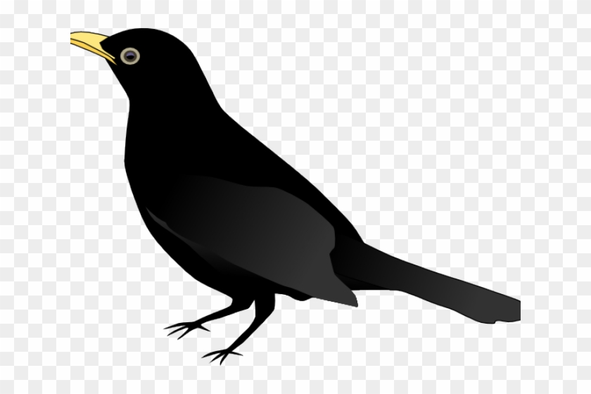 Blackbird Clipart Flying Dove - صوره طائر اسود - Png Download #4851441