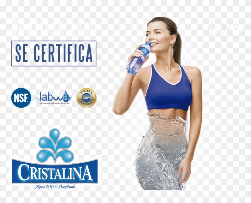 Sentirse Bien Se Certifica - Online Advertising Clipart