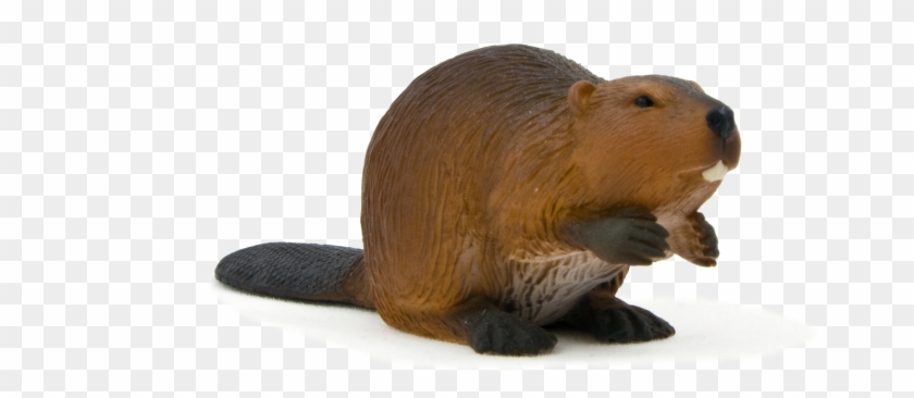 Animal Planet Beaver - Bóbr Figurka Clipart #4851809