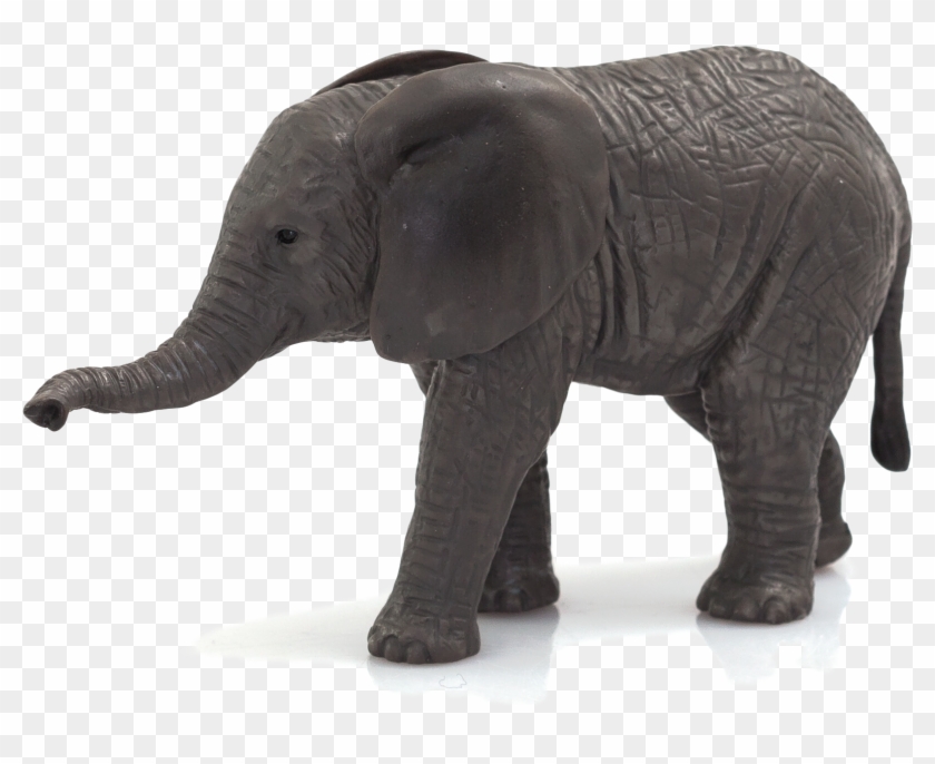 African Elephant Calf , Png Download - Elephant Calf Png Clipart #4851837