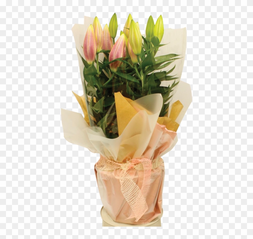 Lily Pot Gift Wrap 1600 - Bouquet Clipart