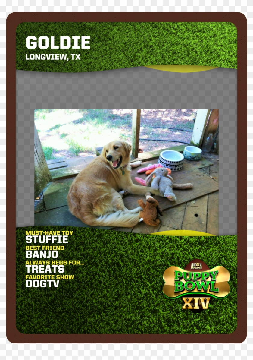 Dog Catches Something Clipart #4852150