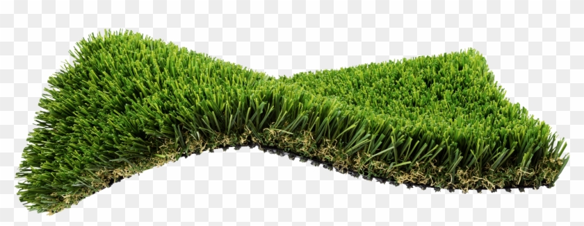 Northwest Inspired - Hedge Clipart