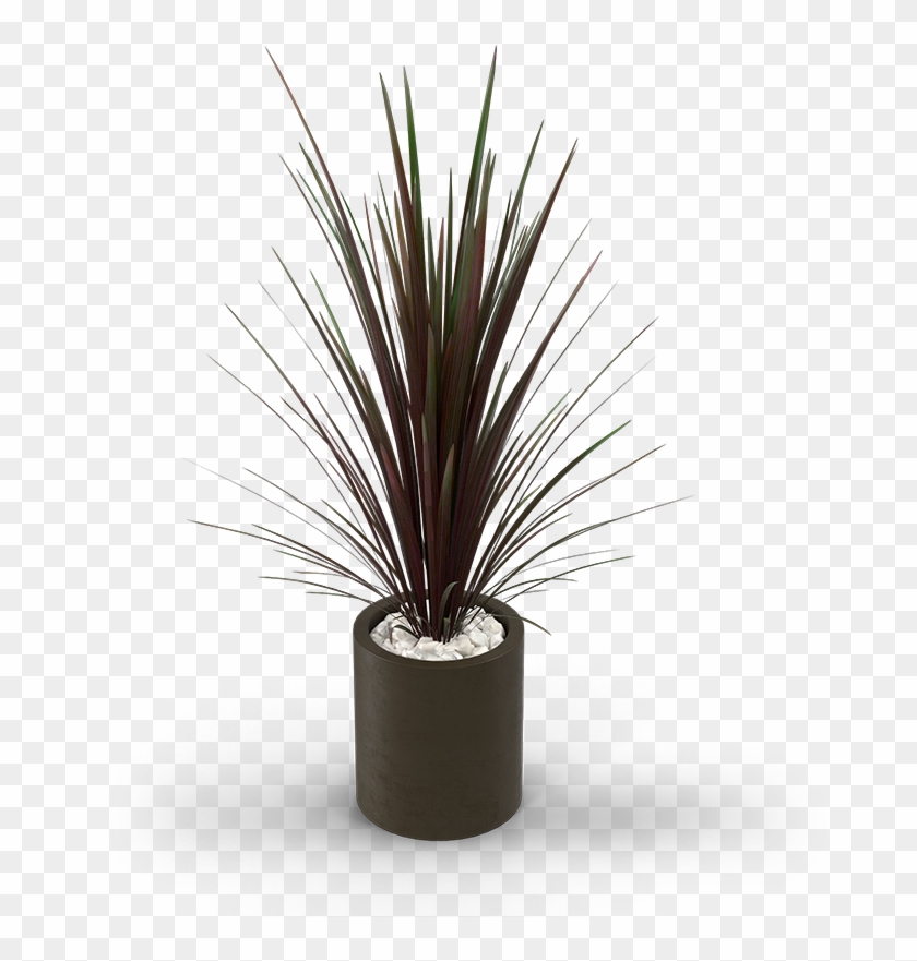 29 Am 266591 A T 6/18/2016 - Agave Clipart #4852513