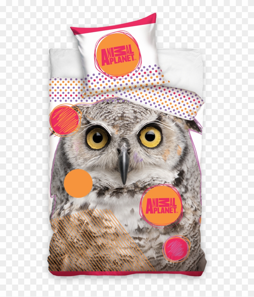Information About Product - Owls With White Background Clipart #4852868