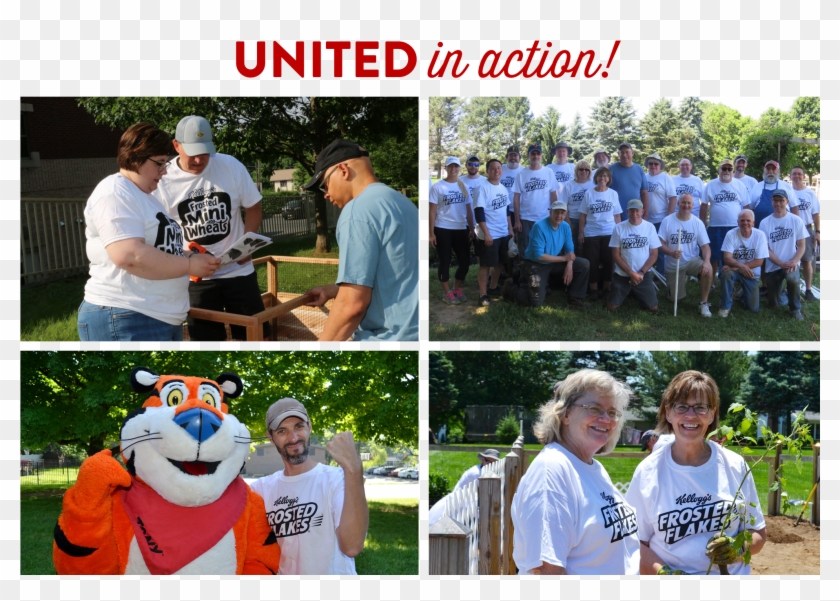 Desert Grass Png Clipart #4852900