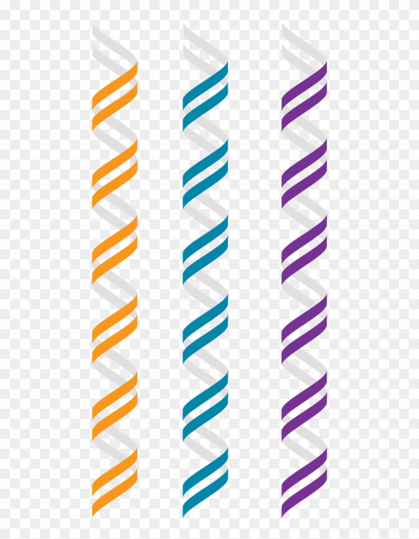 Genomics,double Helix,right Hand Clipart