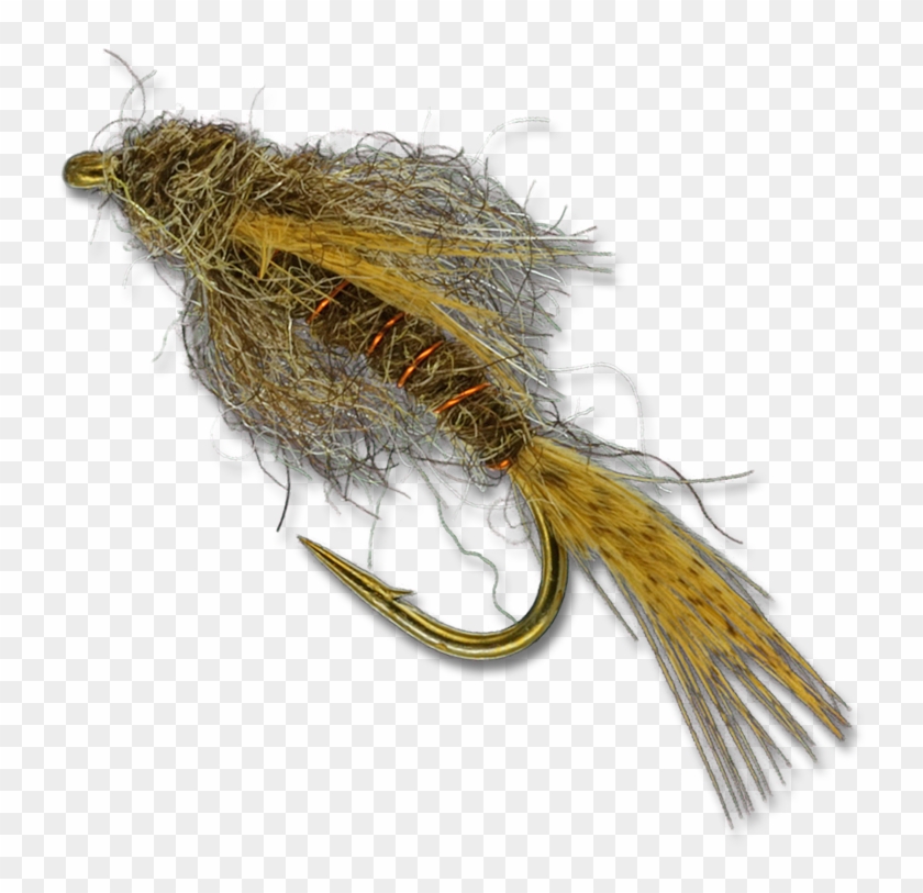 Insect Clipart #4853193