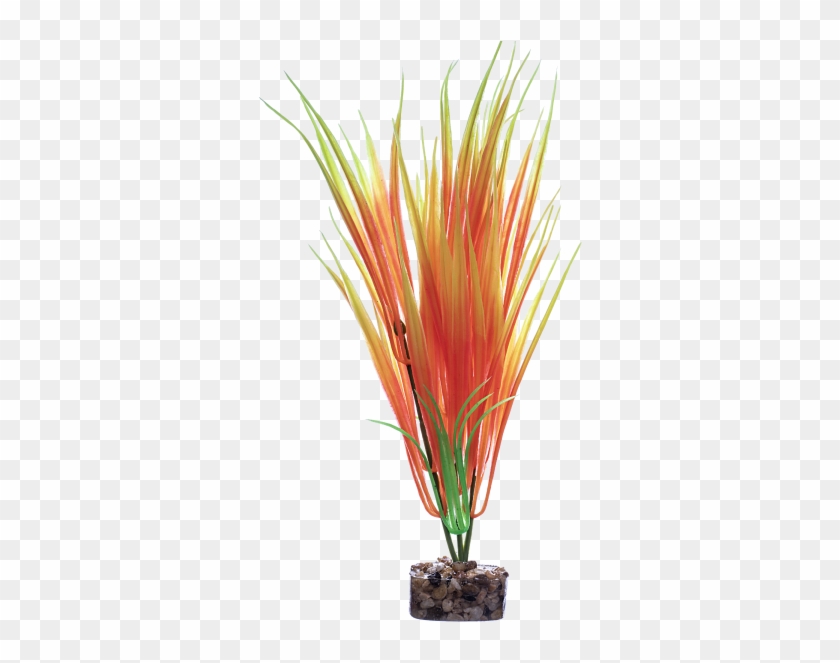 467-78044 - Grass Clipart