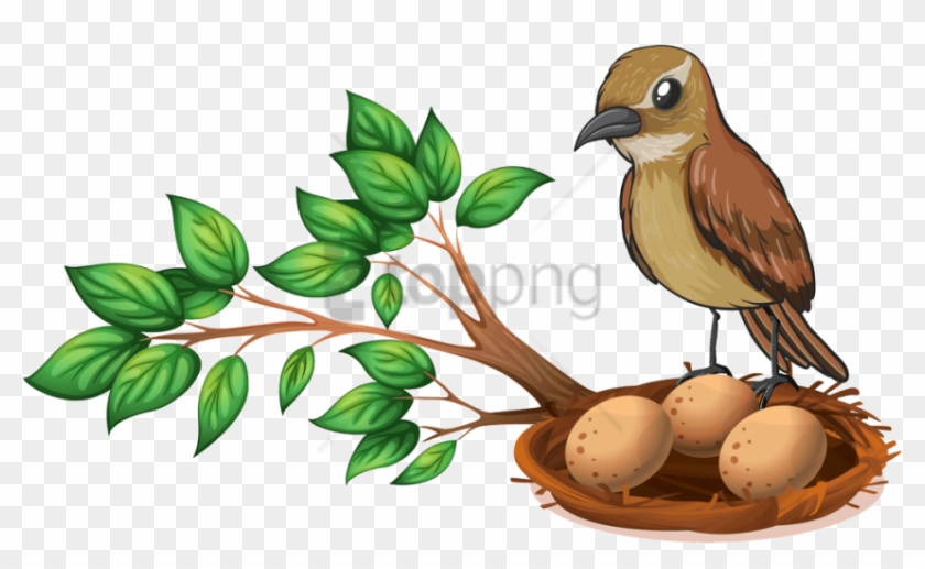 Free Png Bird Nest On Tree Png Image With Transparent - Nest With Eggs And Bird Clipart