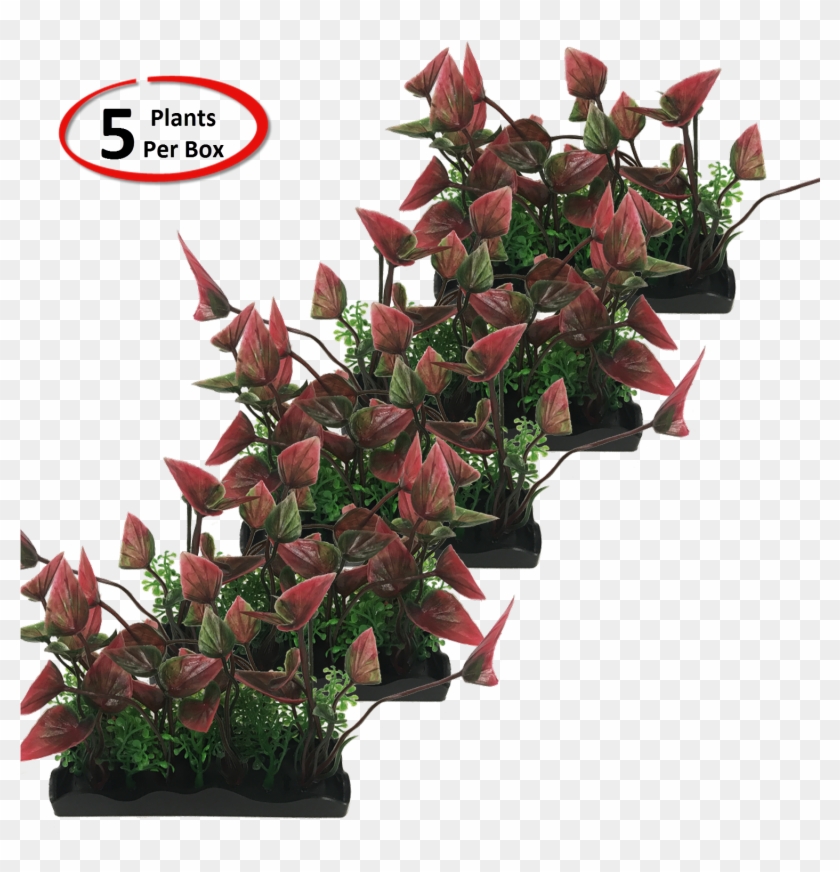 View Larger - Garden Roses Clipart