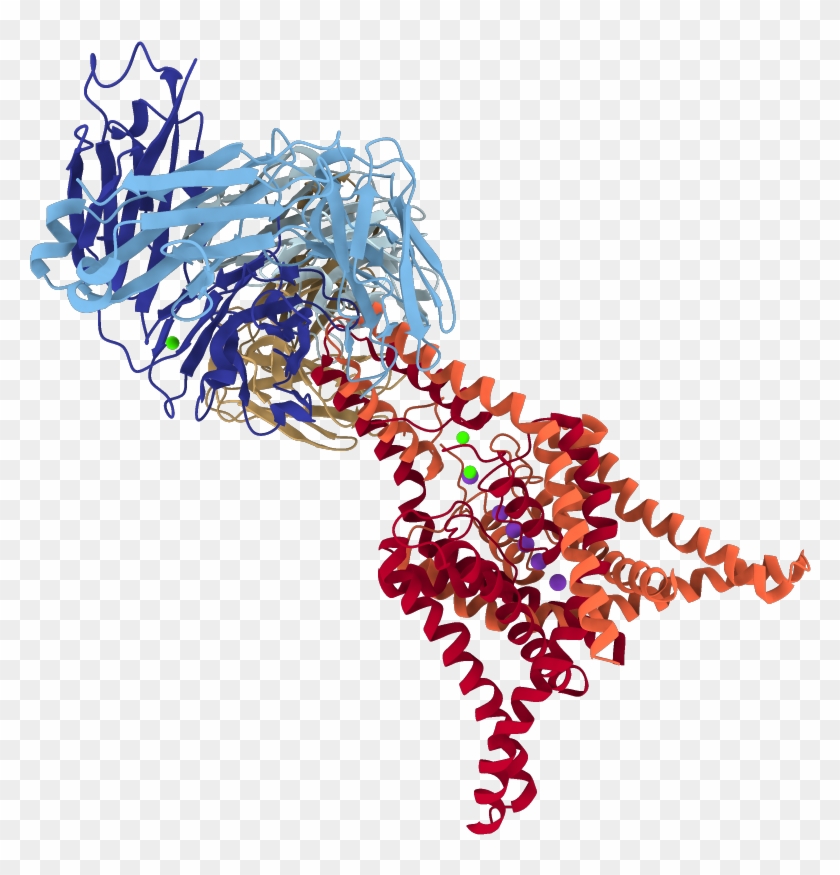 4wfe - Graphic Design Clipart #4854988