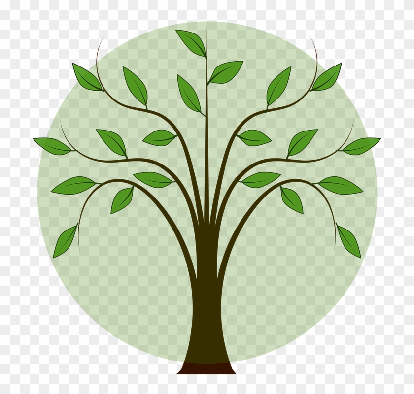 Leaves Branch Leaf - Tree With Leaf Drawing Clipart