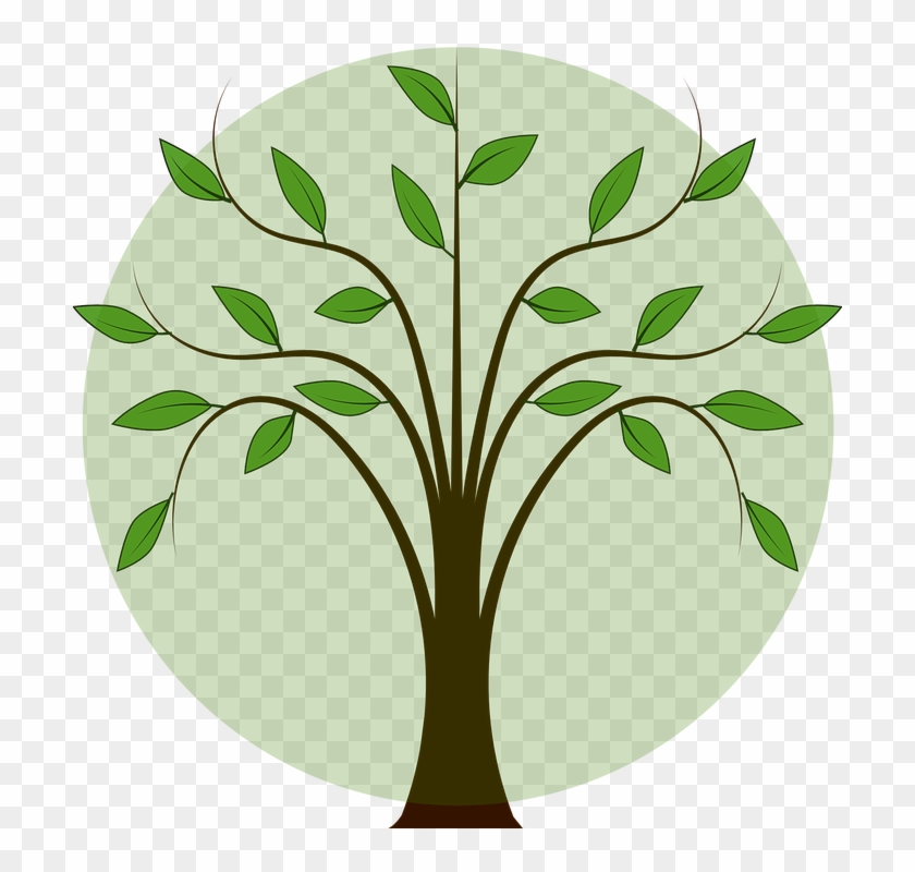 Leaves Branch Leaf - Tree With Leaf Drawing Clipart #4856870