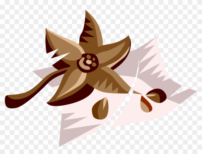 Vector Illustration Of Carambola Starfruit Popular - Illustration Clipart #4858345