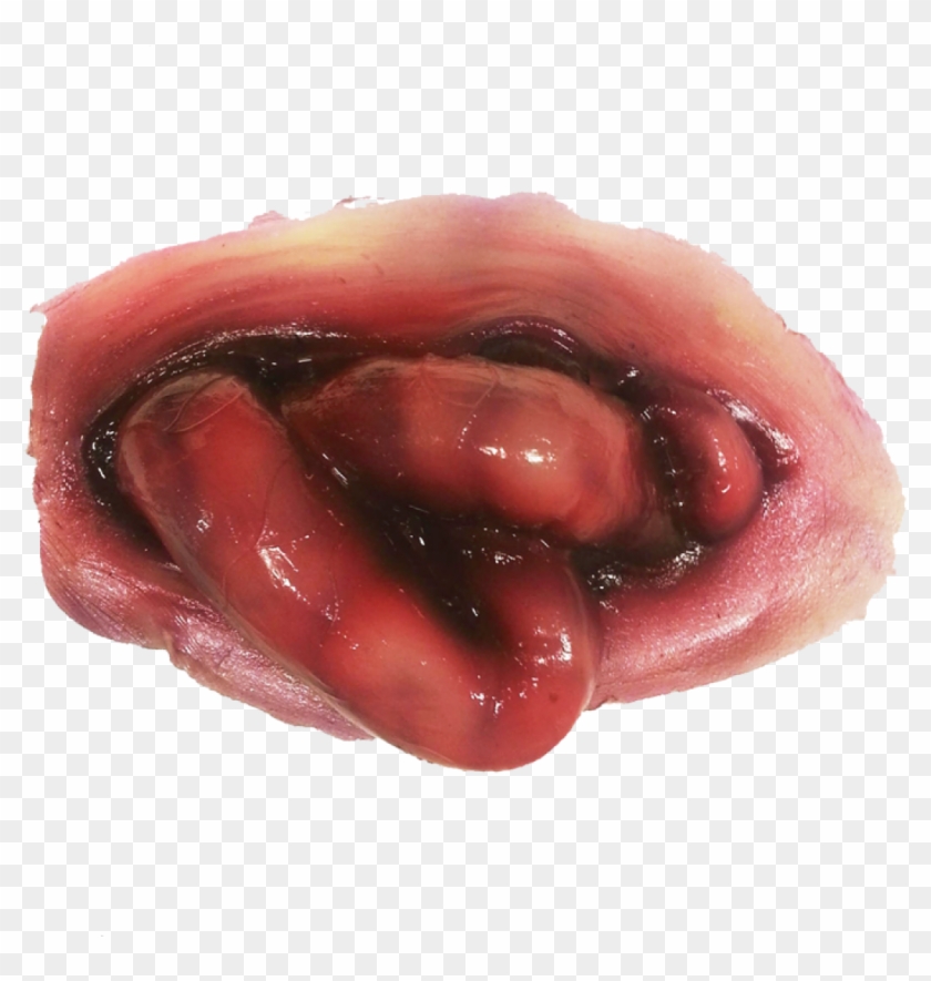 Fruit Clipart #4858648