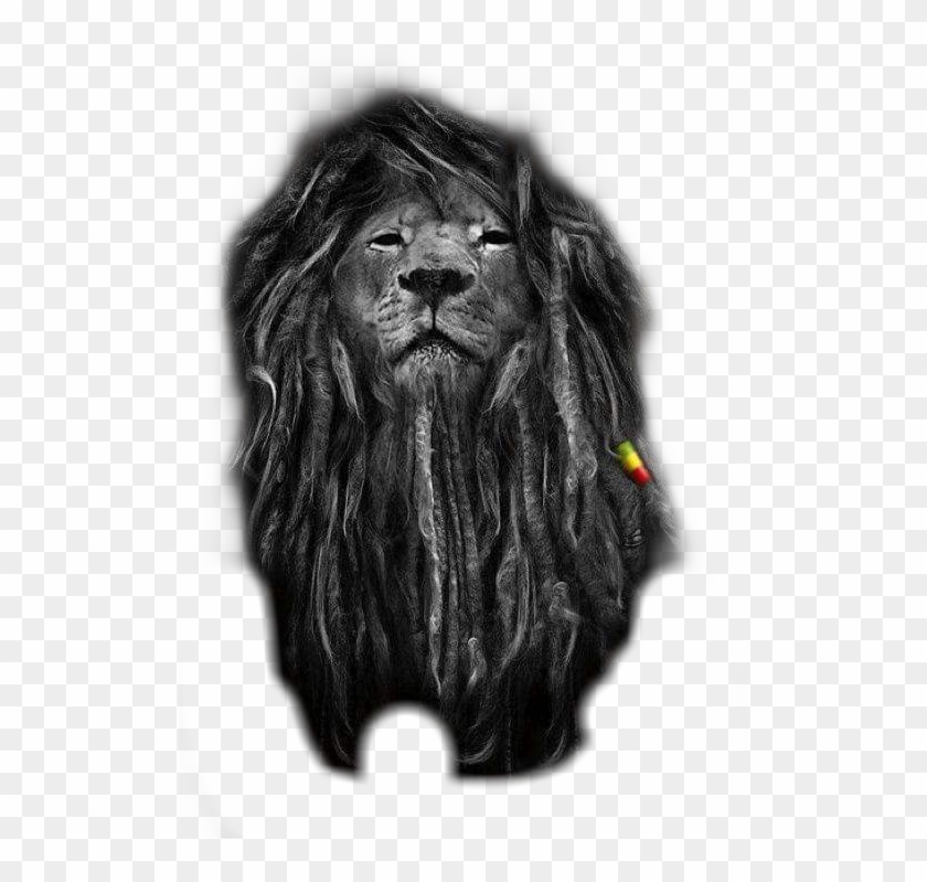 #leão #leo #lion #jah #reggae - Rasta Lion Clipart
