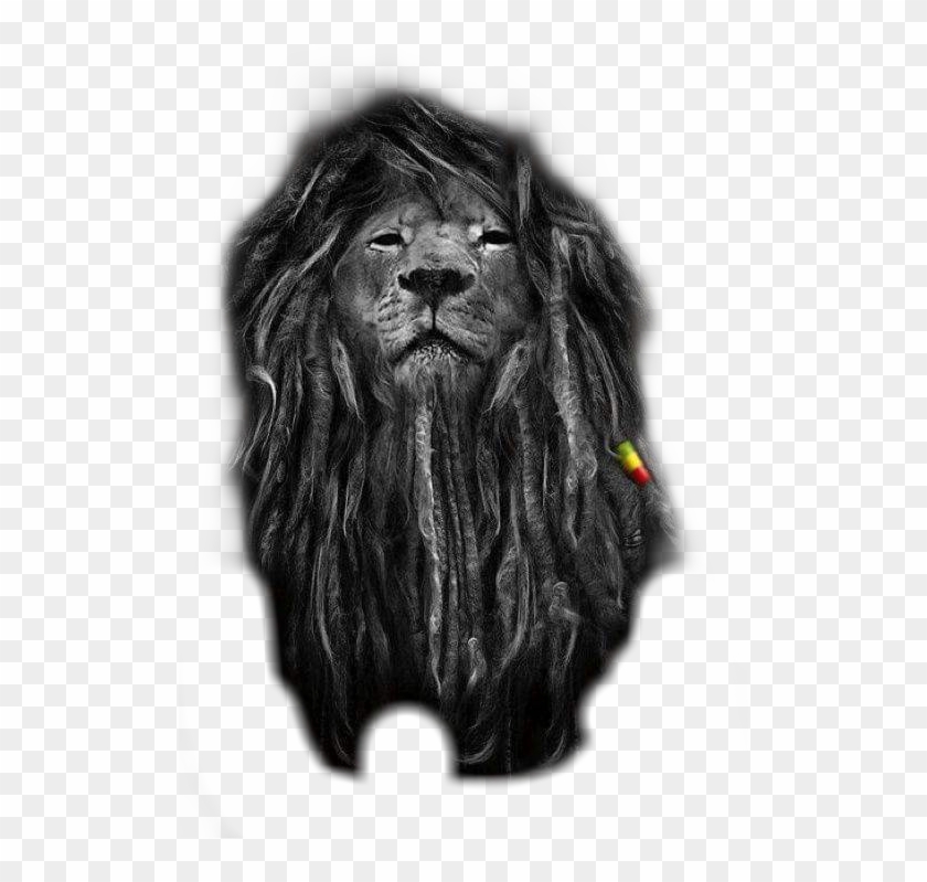 #leão #leo #lion #jah #reggae - Rasta Lion Clipart #4858835