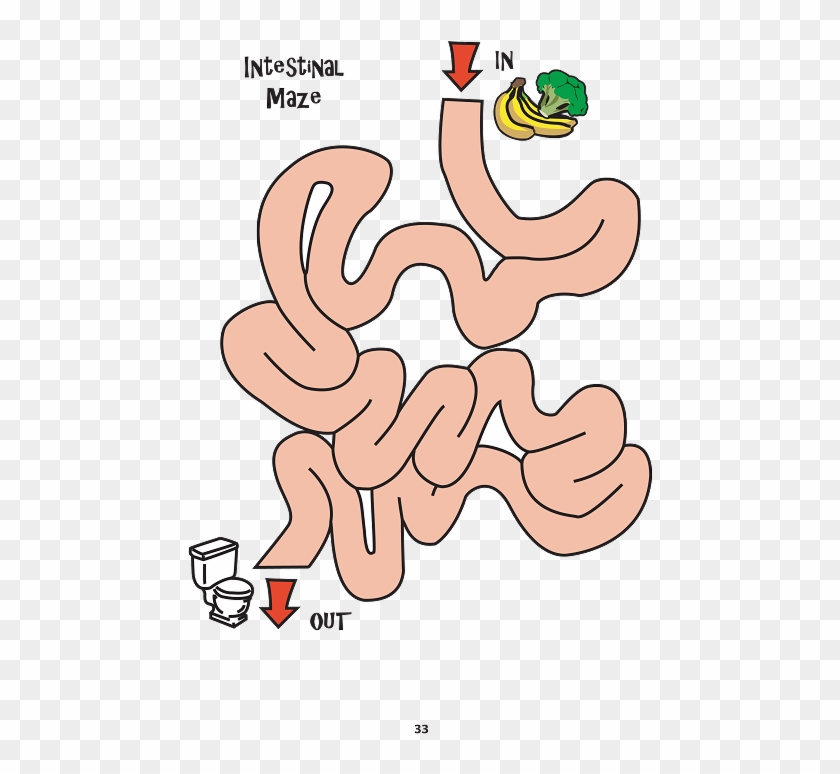 Maze Digestive System Clipart