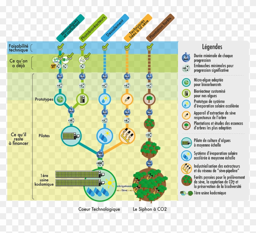 Schemakodama Ok - Circle Clipart #4860126