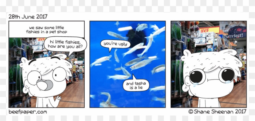 28th June 2017 Sad Day For Shaney - Cartoon Clipart