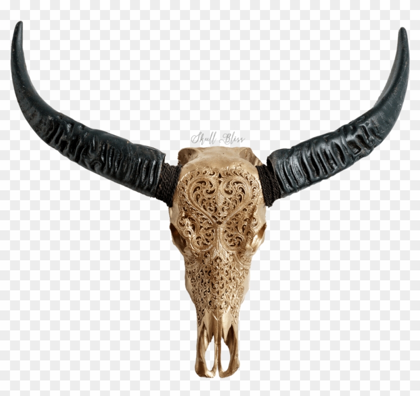 Bull Clipart #4863064