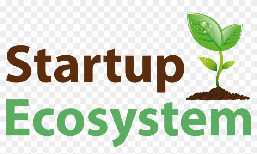 Improving Your Startup Ecosystem Means Understanding - Ecosystem Startup Clipart